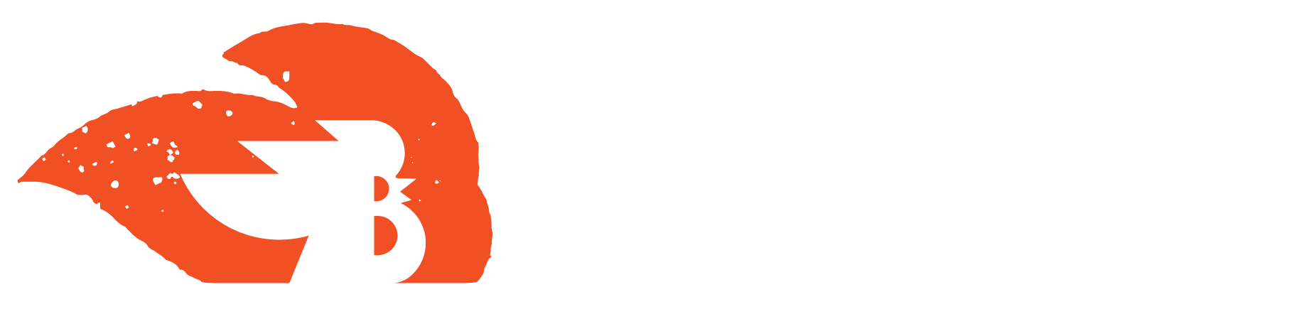 Banty Marketing horizontal logo for blue background